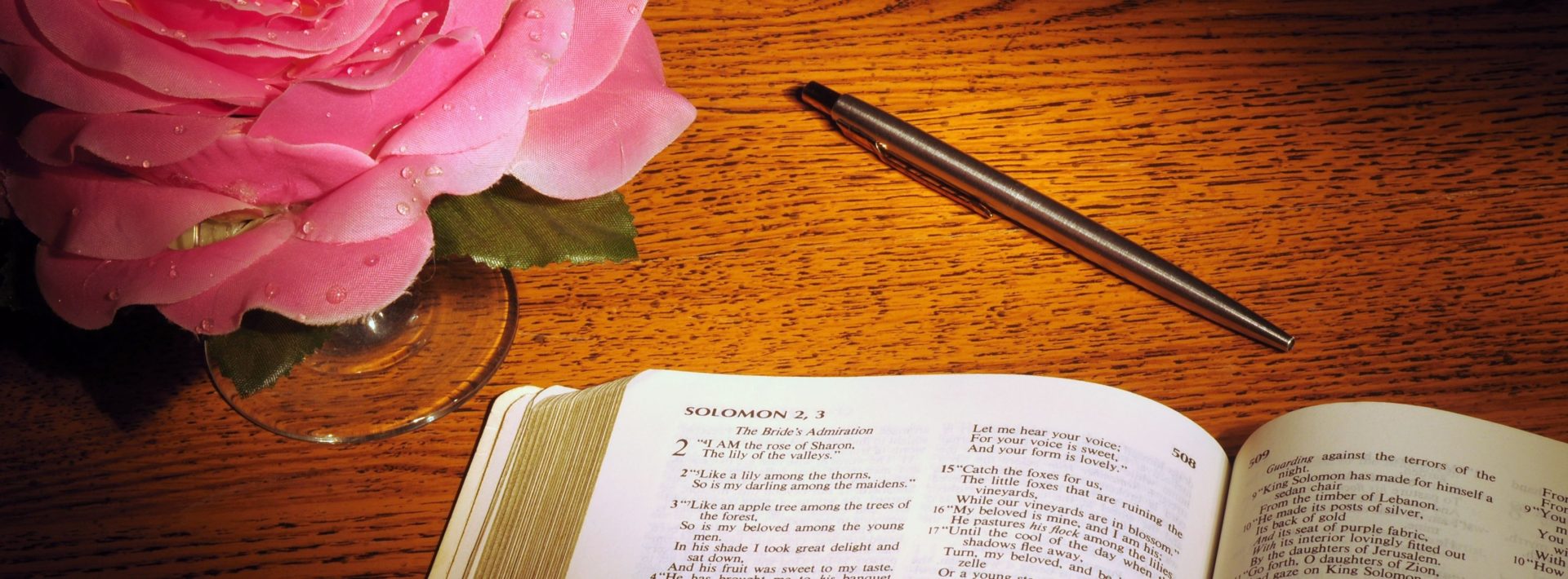 Fall in Love with the Word of God ENL 131 episode artwork